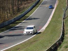 DSC00486.JPG