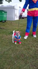 VR6OC - VW Festival 2014