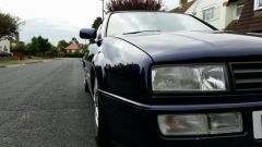 VW Festival @ Harewood House (2014)