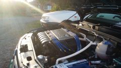 shines bright on the important part