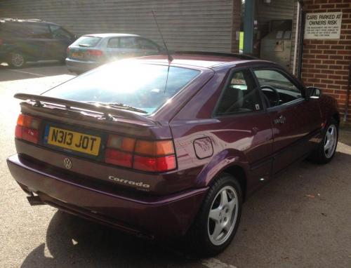 post-91359-0-26483200-1382992032_thumb.j