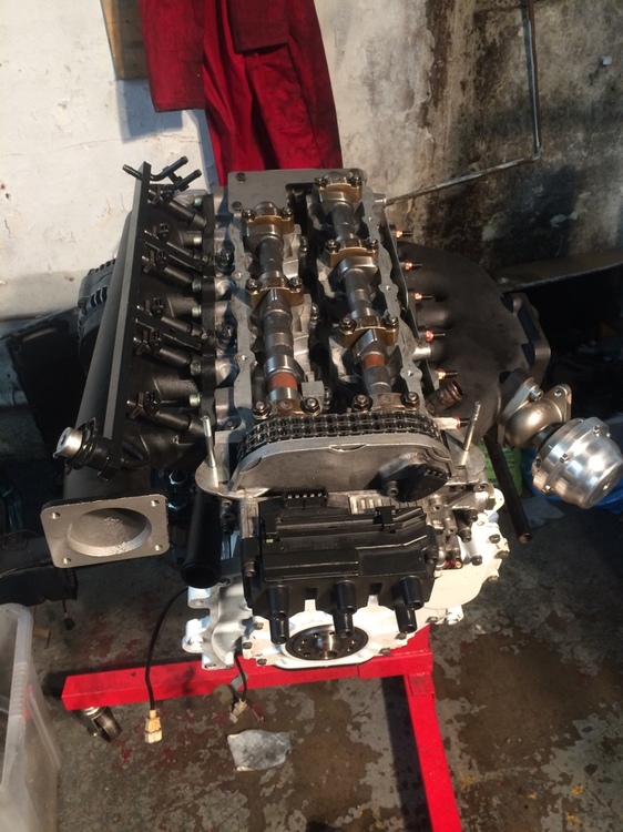 IMG_2220.thumb.JPG.888bcf17b8ec91f3a90e5