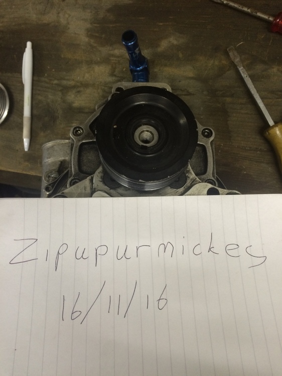 IMG_1543.thumb.JPG.9148c5e6835d49cf4183c