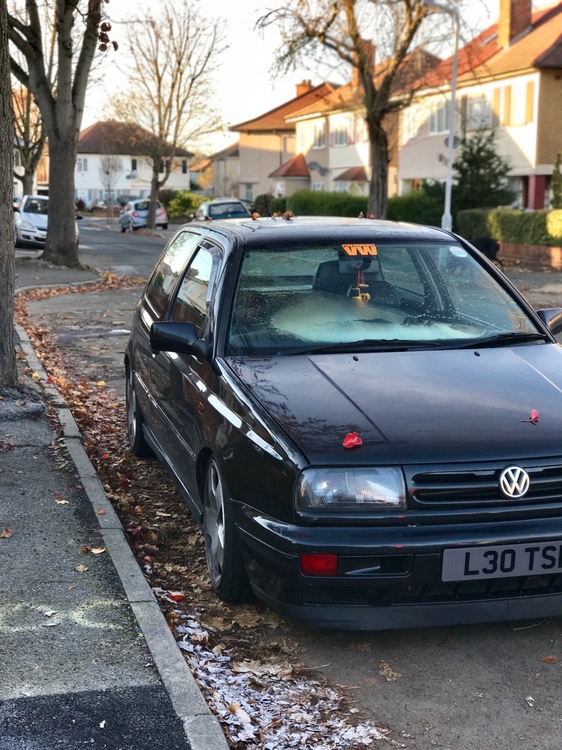 IMG_0535.thumb.JPG.b300e67a3bc63eb9dcf57