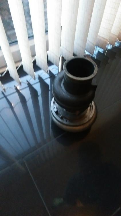 IMAG0025.jpg