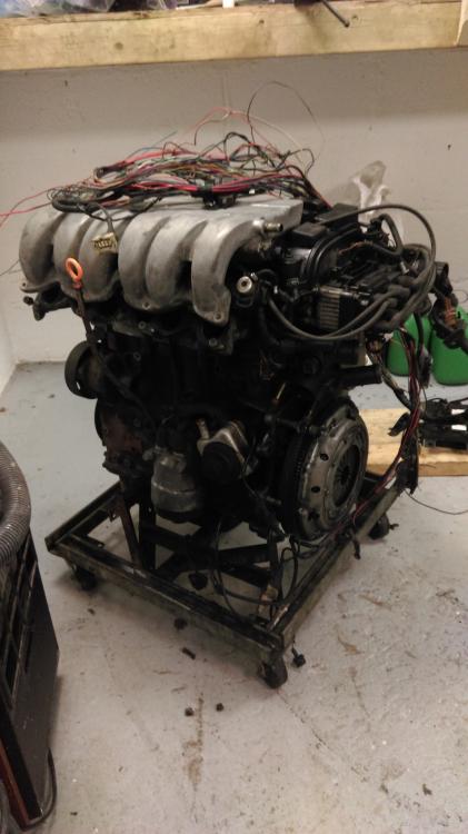 2r5urg5.jpg