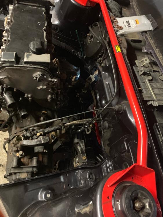 IMG_0204.JPG