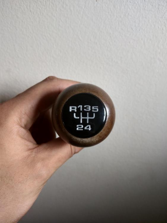 IMAG0476.jpg