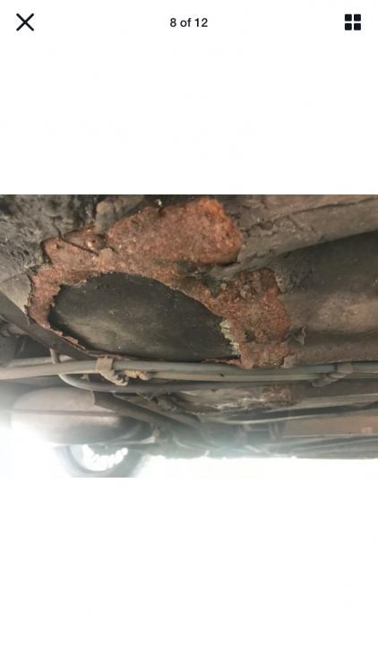 IMG_4934.JPG